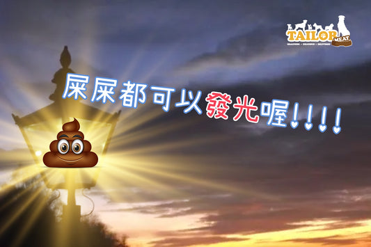 狗屎都可以系環保?屎真係黃金嚟㗎