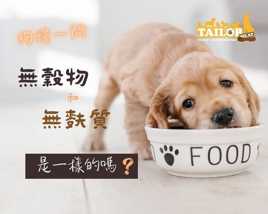狗糧一問 ?「無穀物」和「無麩質」是一樣嗎?