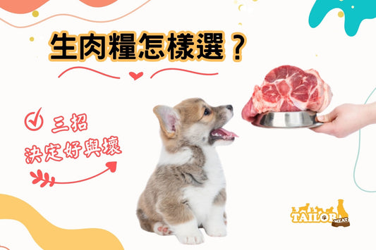 生肉糧選擇哪個好? 三招決定好與壞!