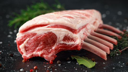 狗狗愛吃的羊肉有甚麼營養?