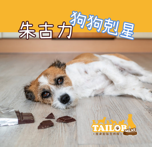 狗狗剋星朱古力！