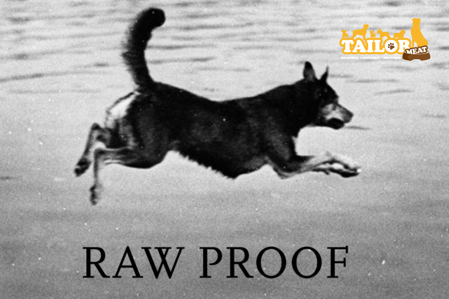 Raw Proof 報告證生肉糧是狗狗適食