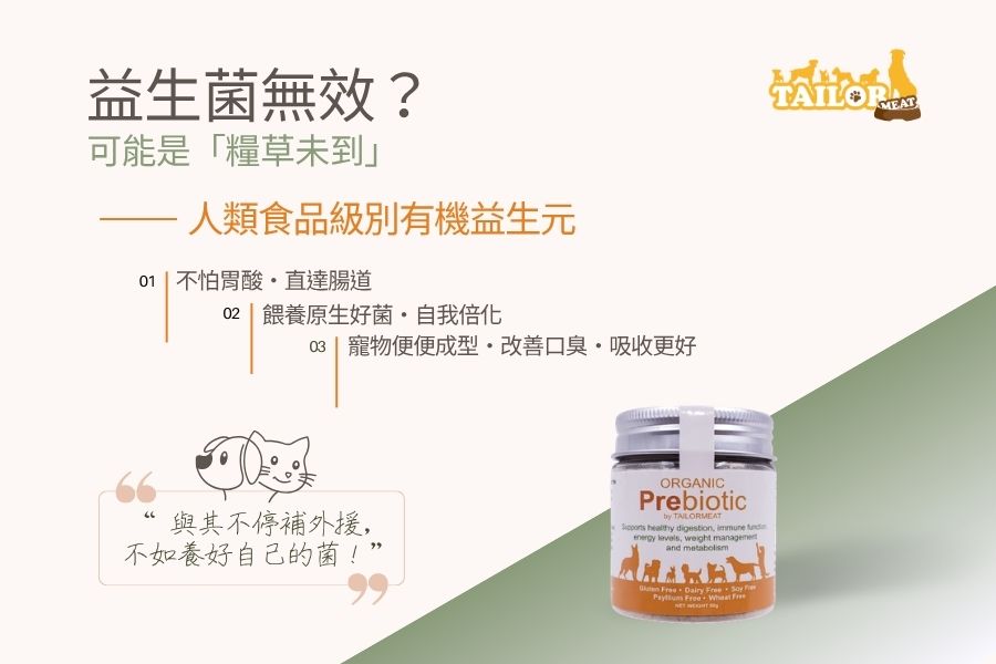 「益生菌」無效? 可能因為「糧草未到」