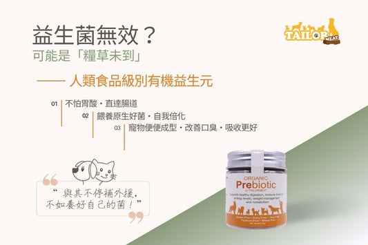 「益生菌」無效? 可能因為「糧草未到」