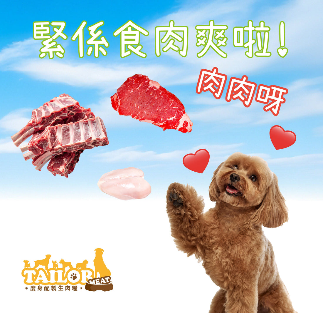 動物蛋白對狗狗至關重要?