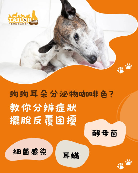 你的狗狗是不是在fing頭或抓耳仔？