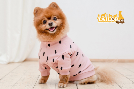 狗狗要穿衣服嗎？