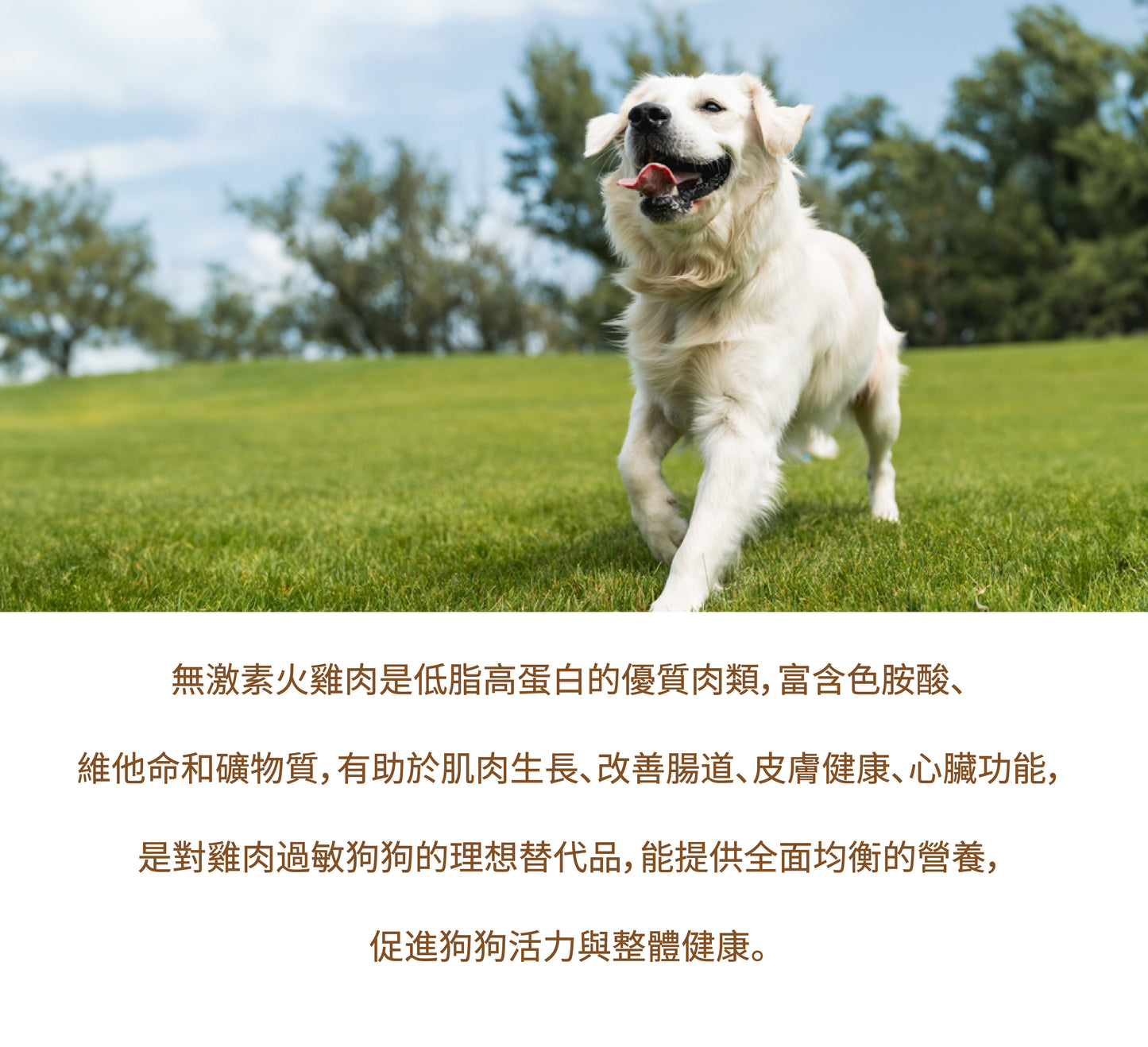 無激素火雞肉生肉糧配方 [低敏增肌] 每100克