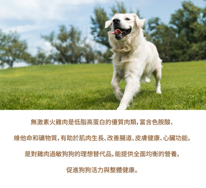 無激素火雞肉生肉糧配方 [低敏增肌] 每100克