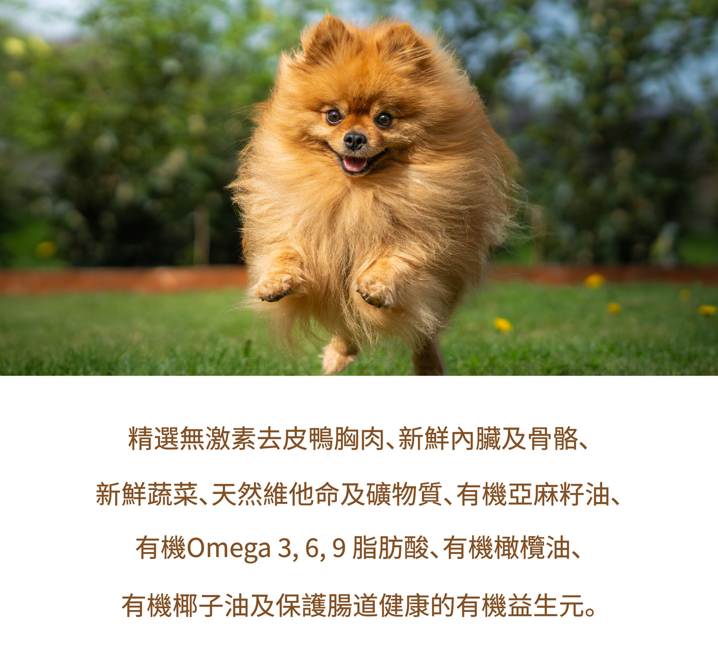 無激素鴨胸生肉糧配方 [低敏清熱] 每100克